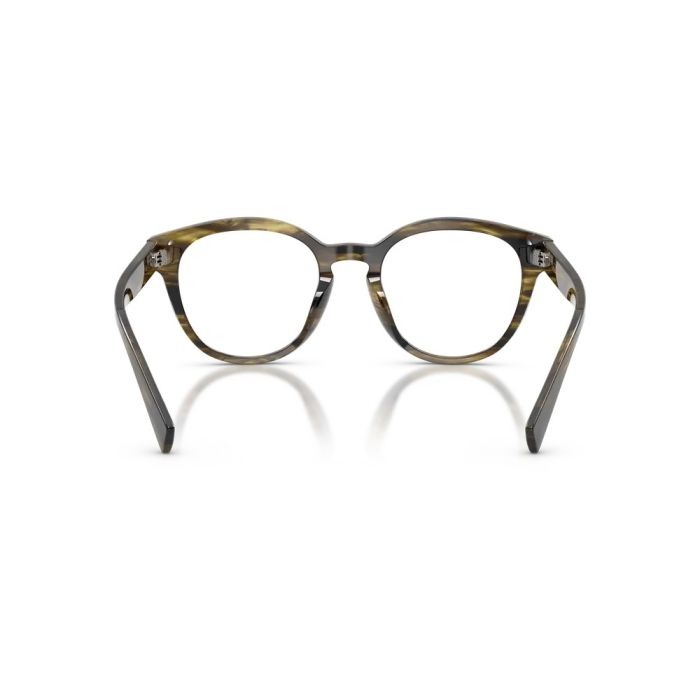 Dolce & Gabbana DG3421 3066