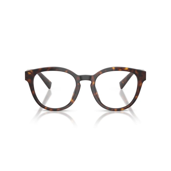 Dolce & Gabbana DG3421 502 50