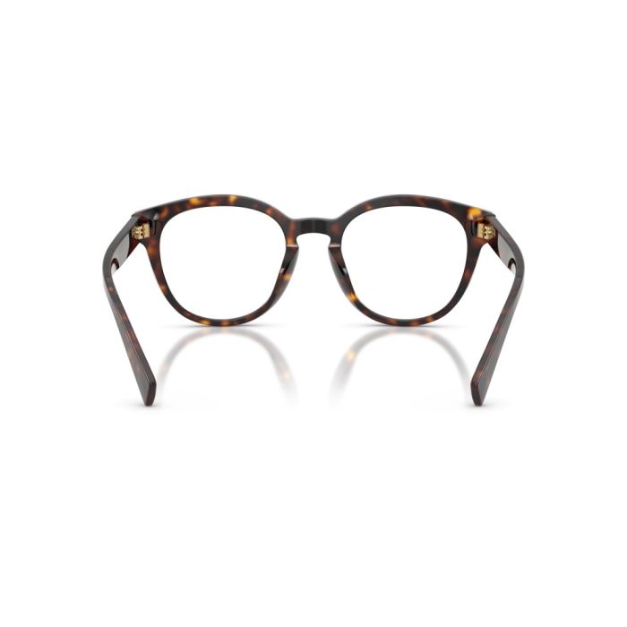 Dolce & Gabbana DG3421 502 50