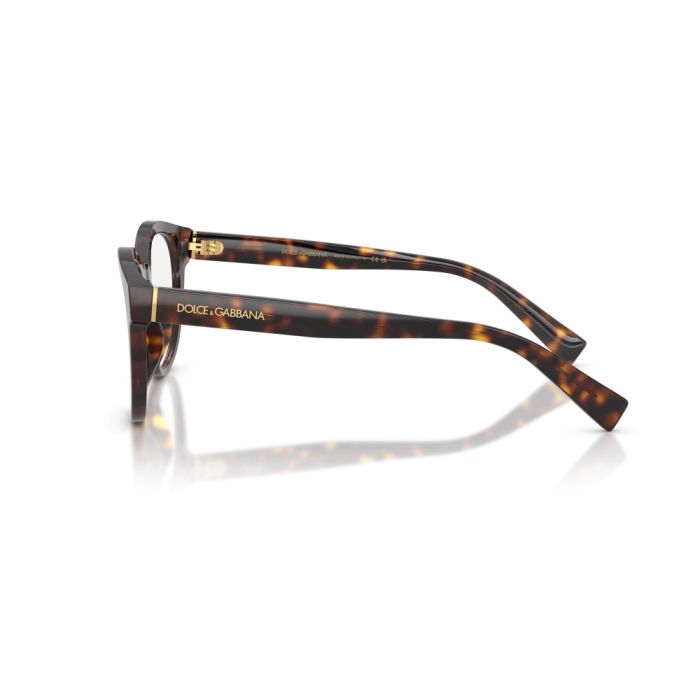 Dolce & Gabbana DG3421 502 50