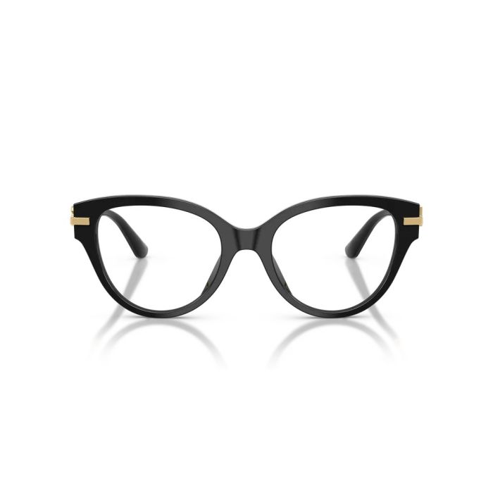 Dolce & Gabbana DG3438 501 51