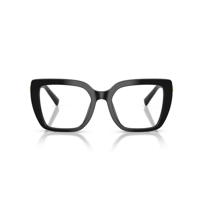 Dolce & Gabbana DG3441 501 51