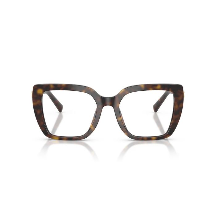 Dolce & Gabbana DG3441 502 51