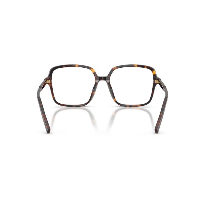 Dolce & Gabbana DG3442 502 53