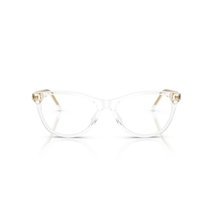 Dolce & Gabbana DG3443 3133 53