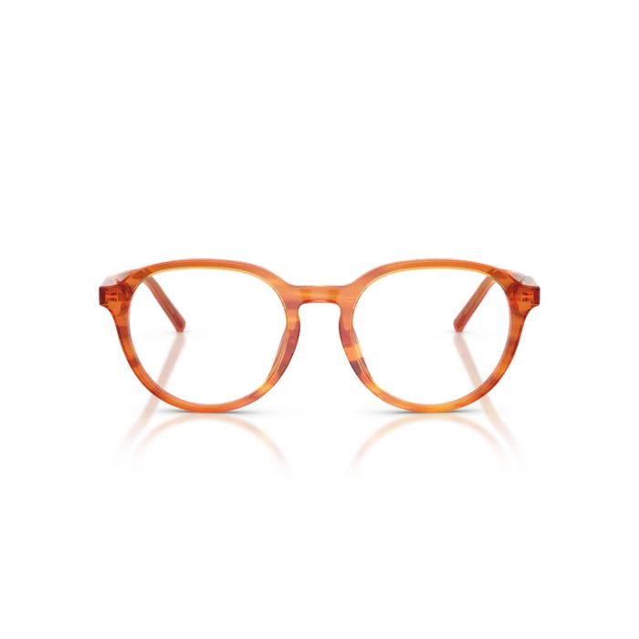 Dolce & Gabbana DG3444 3483 50