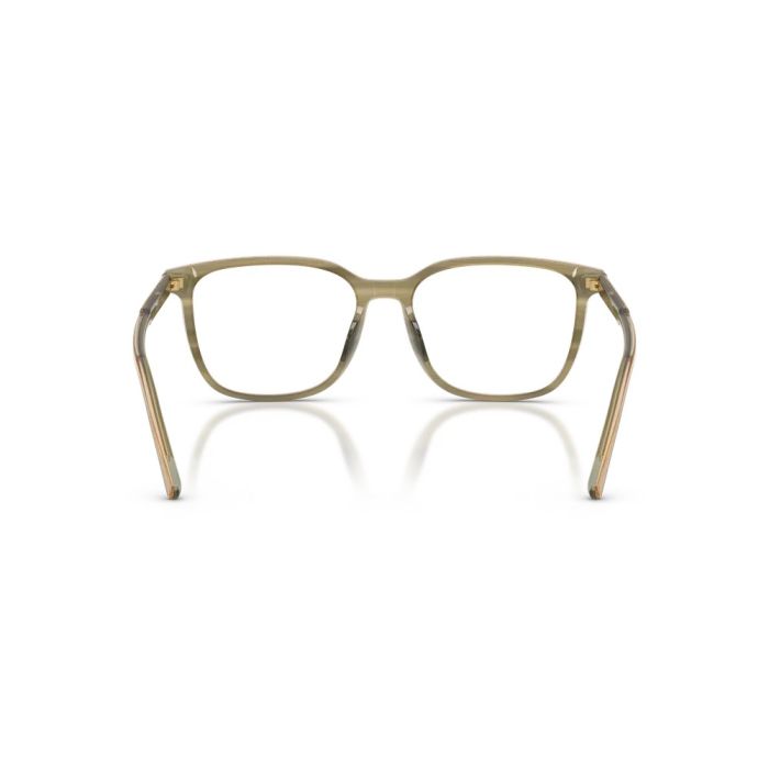 Dolce & Gabbana DG3445 3480 53
