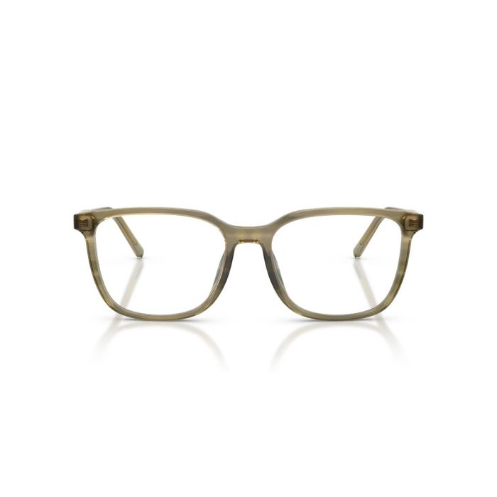 Dolce & Gabbana DG3445 3480 53