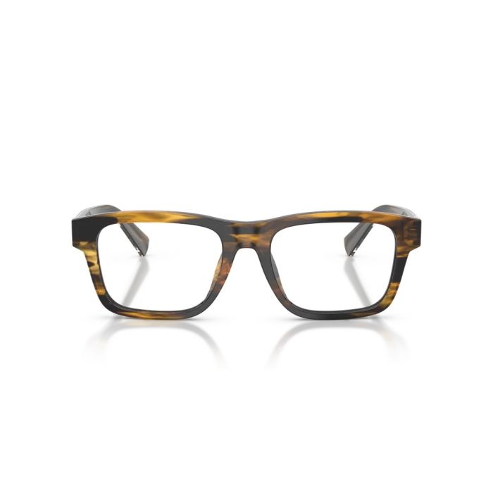 Dolce & Gabbana DG3446 3063 51