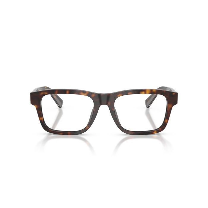 Dolce & Gabbana DG3446 502 51