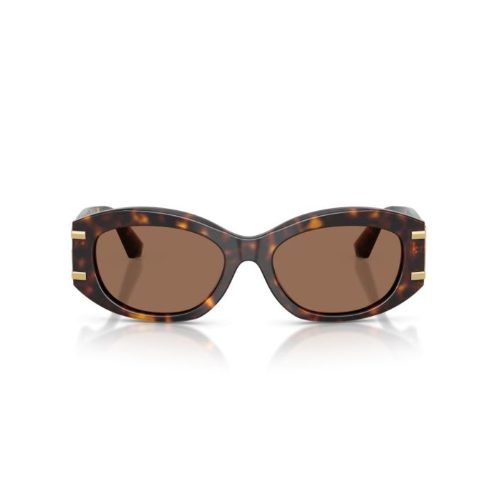 Dolce & Gabbana DG4502 502/73