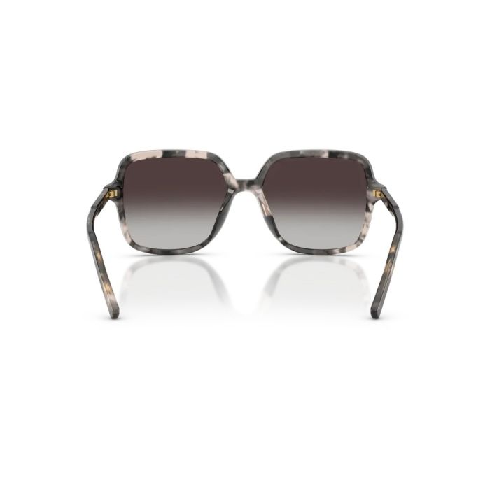 Dolce & Gabbana DG4539 31728G