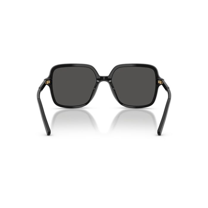 Dolce & Gabbana DG4539 501/87