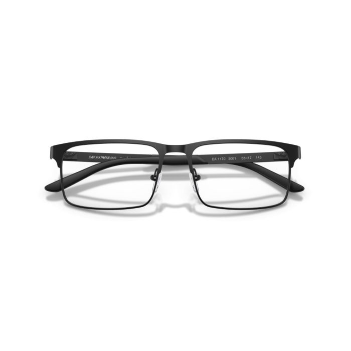Emporio Armani EA1170 3001 53