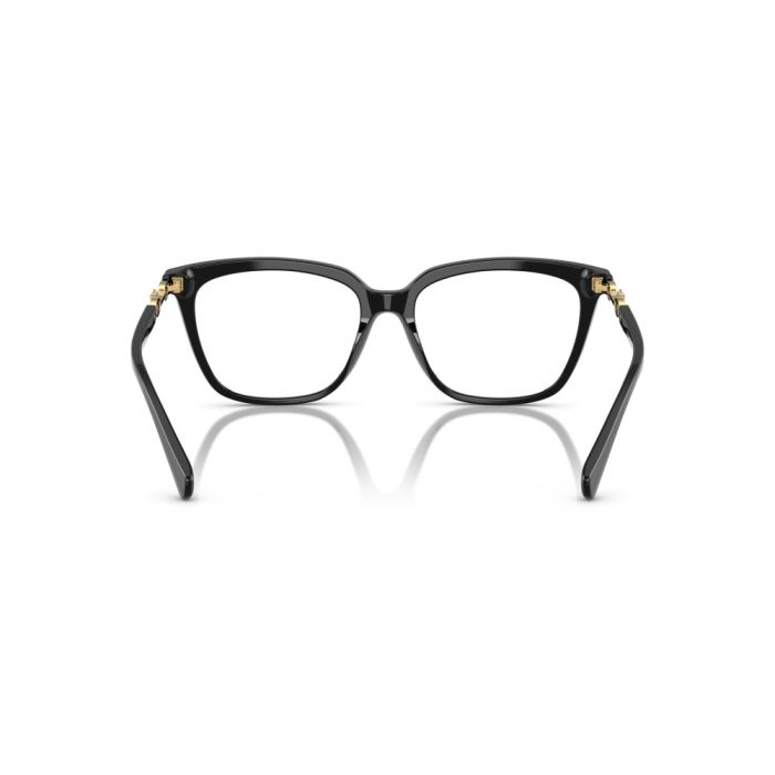 Emporio Armani EA3248 5017 53