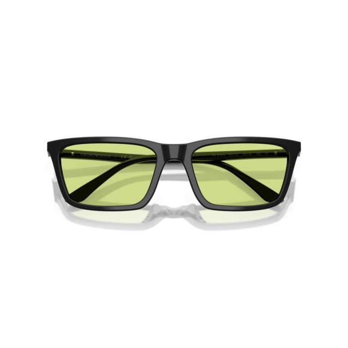 Emporio Armani EA4239U 5017/2