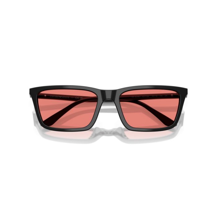 Emporio Armani EA4239U 501784