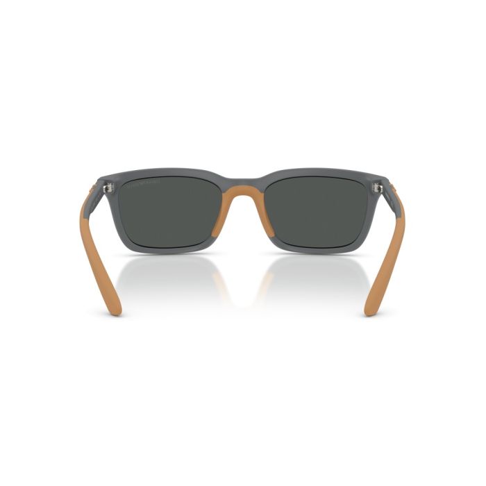 Emporio Armani EA4249U 626187