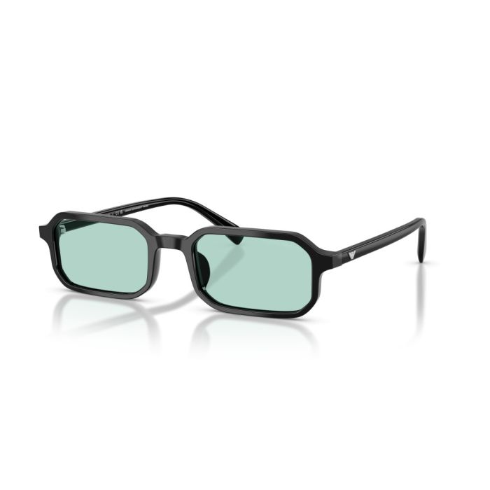 Emporio Armani EA4253U 501765