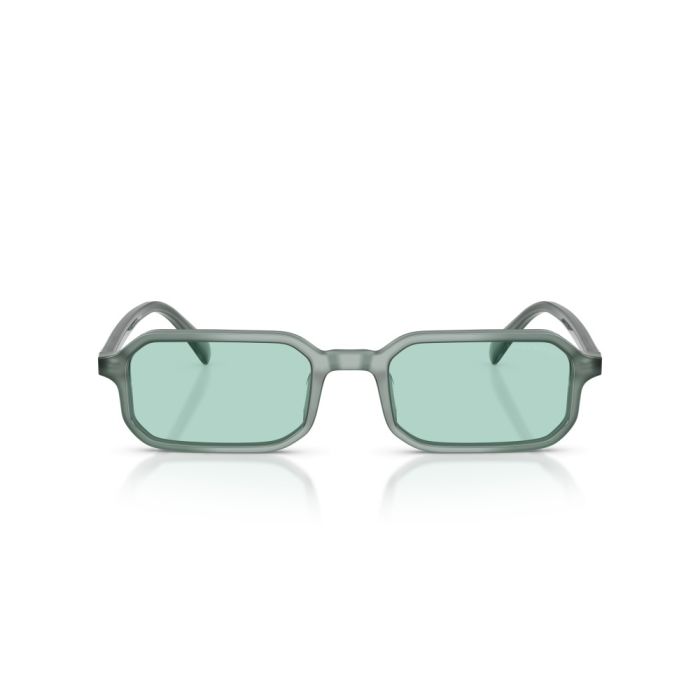 Emporio Armani EA4253U 627065