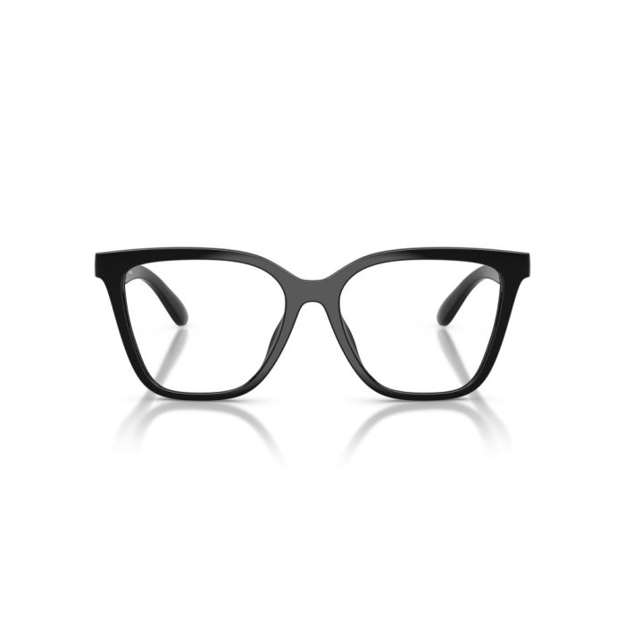 Emporio Armani EA4254U 50171W 52