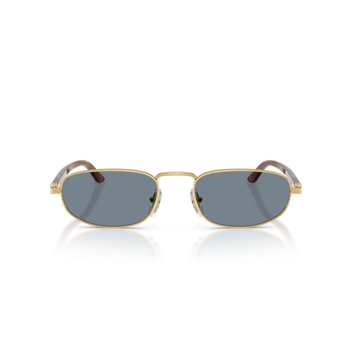 Persol PO1028S 113256
