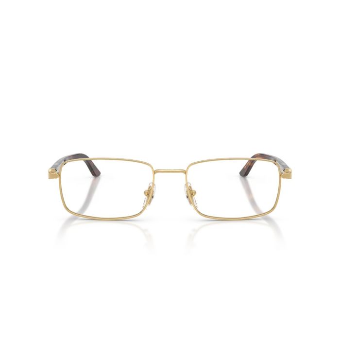 Persol PO1029V 515 54