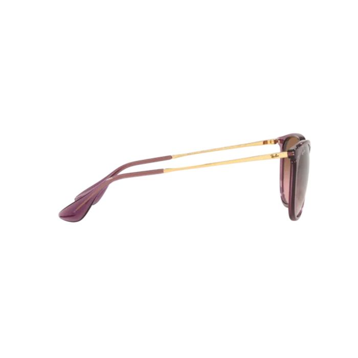 Ray-Ban ERIKA RB4171 659114