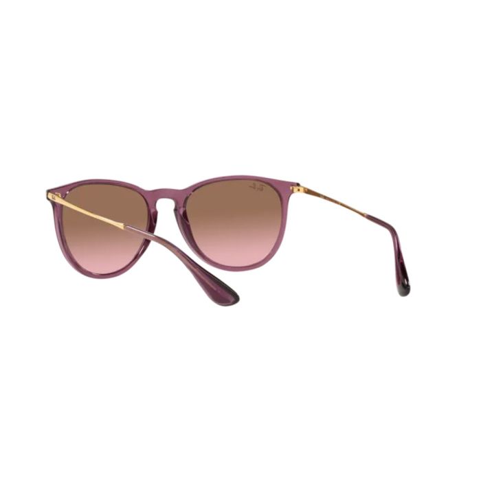 Ray-Ban ERIKA RB4171 659114