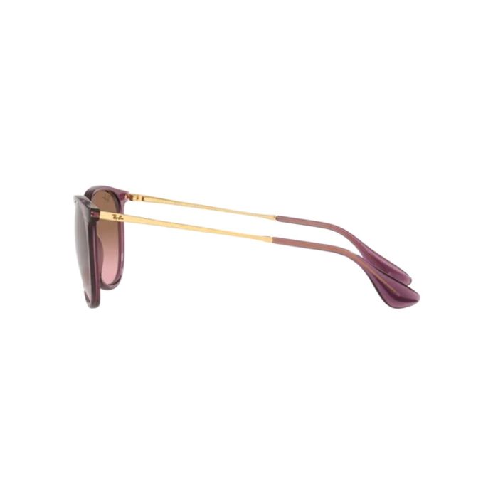 Ray-Ban ERIKA RB4171 659114