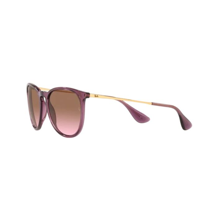 Ray-Ban ERIKA RB4171 659114