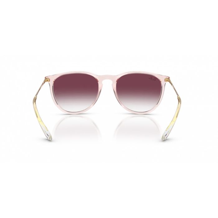 Ray-Ban ERIKA RB4171 67428H