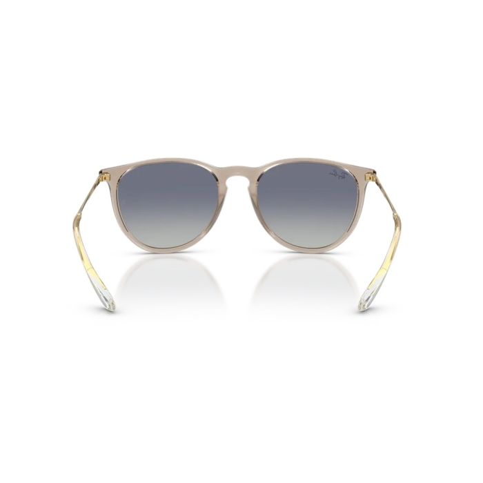 Ray-Ban ERIKA RB4171 67444L