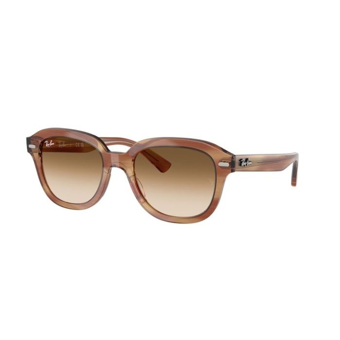 Ray-Ban Erik RB4398 140351 51