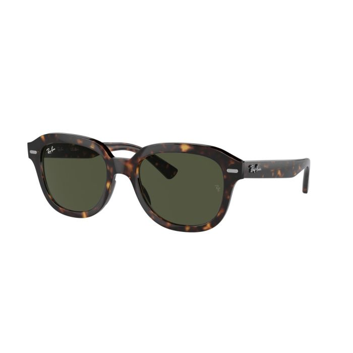 Ray-Ban Erik RB4398 902/31