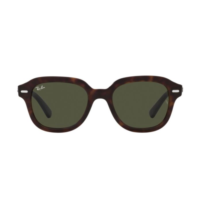 Ray-Ban Erik RB4398 902/31