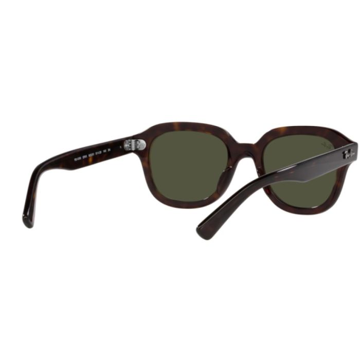 Ray-Ban Erik RB4398 902/31