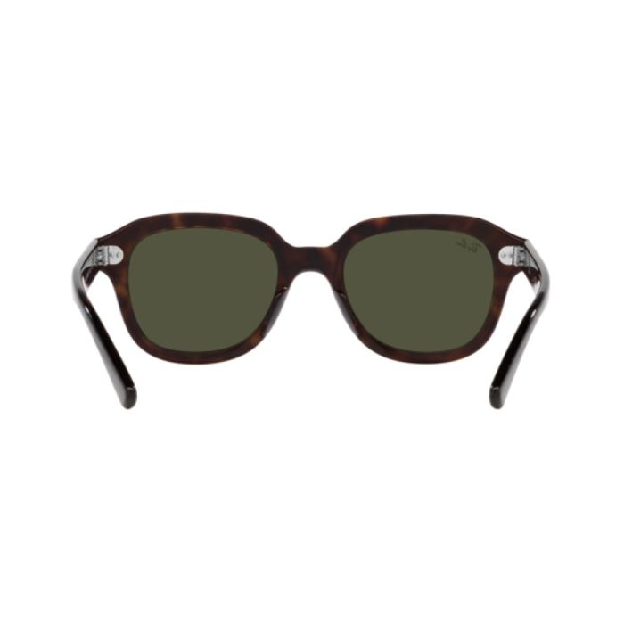 Ray-Ban Erik RB4398 902/31