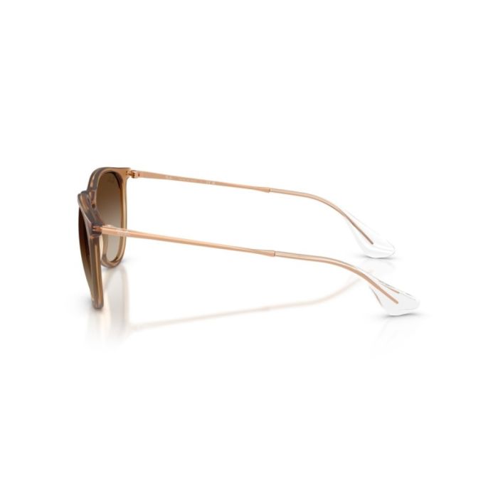 Ray-Ban Erika RB4171 681413