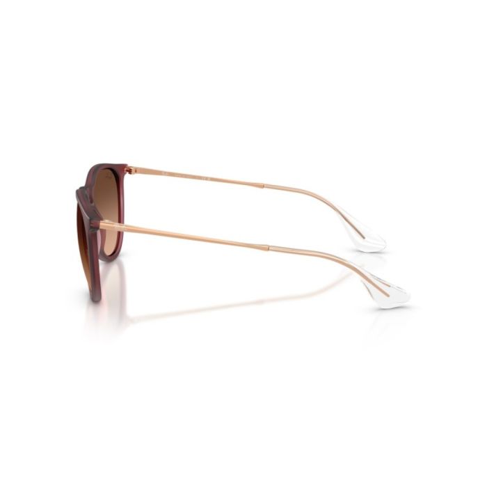 Ray-Ban Erika RB4171 6815A5