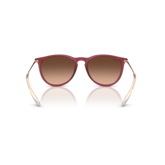 Ray-Ban Erika RB4171 6815A5