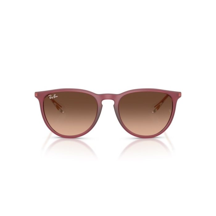 Ray-Ban Erika RB4171 6815A5