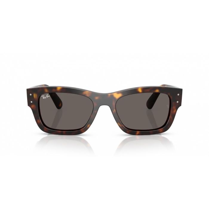 Ray-Ban Joseph RB7683S 902/B1