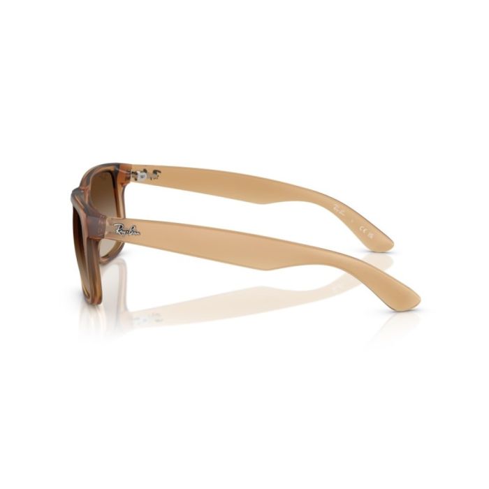 Ray-Ban Justin RB4165 681413