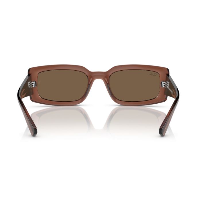 Ray-Ban Kiliane RB4395 667873