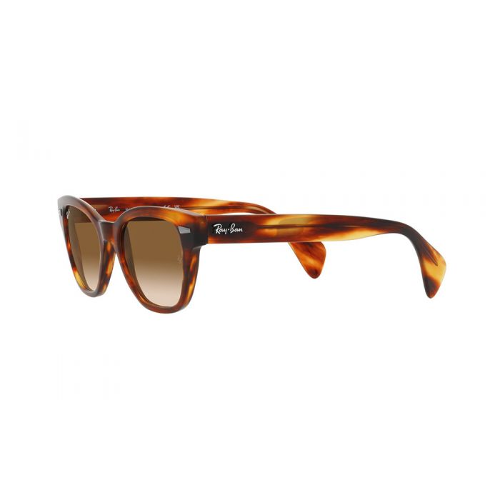 Ray-Ban RB0880S 954/51 49