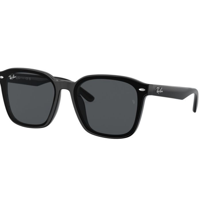 Ray-Ban RB4392D 601/87