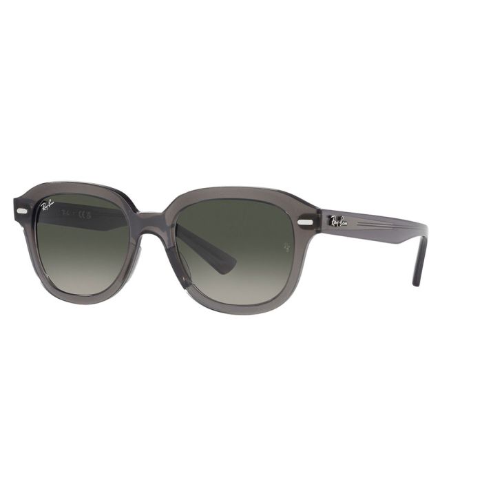 Ray-Ban Erik RB4398 667571 51