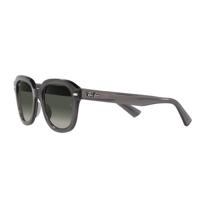 Ray-Ban Erik RB4398 667571 51