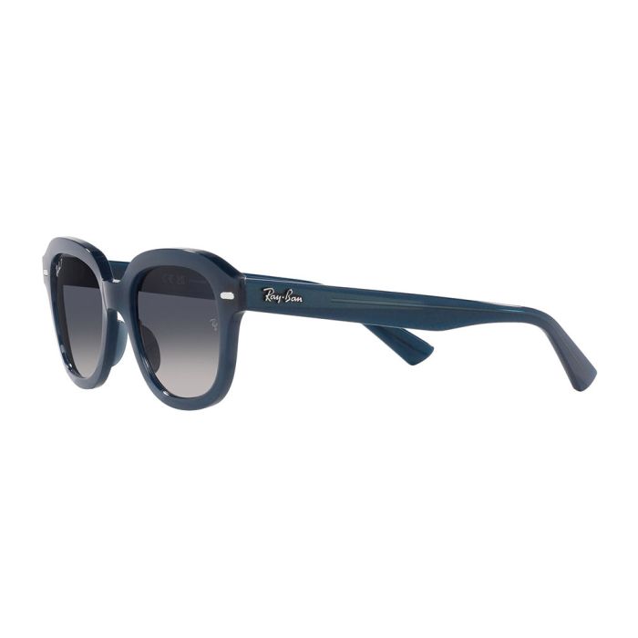 Ray-Ban Erik RB4398 667678 51